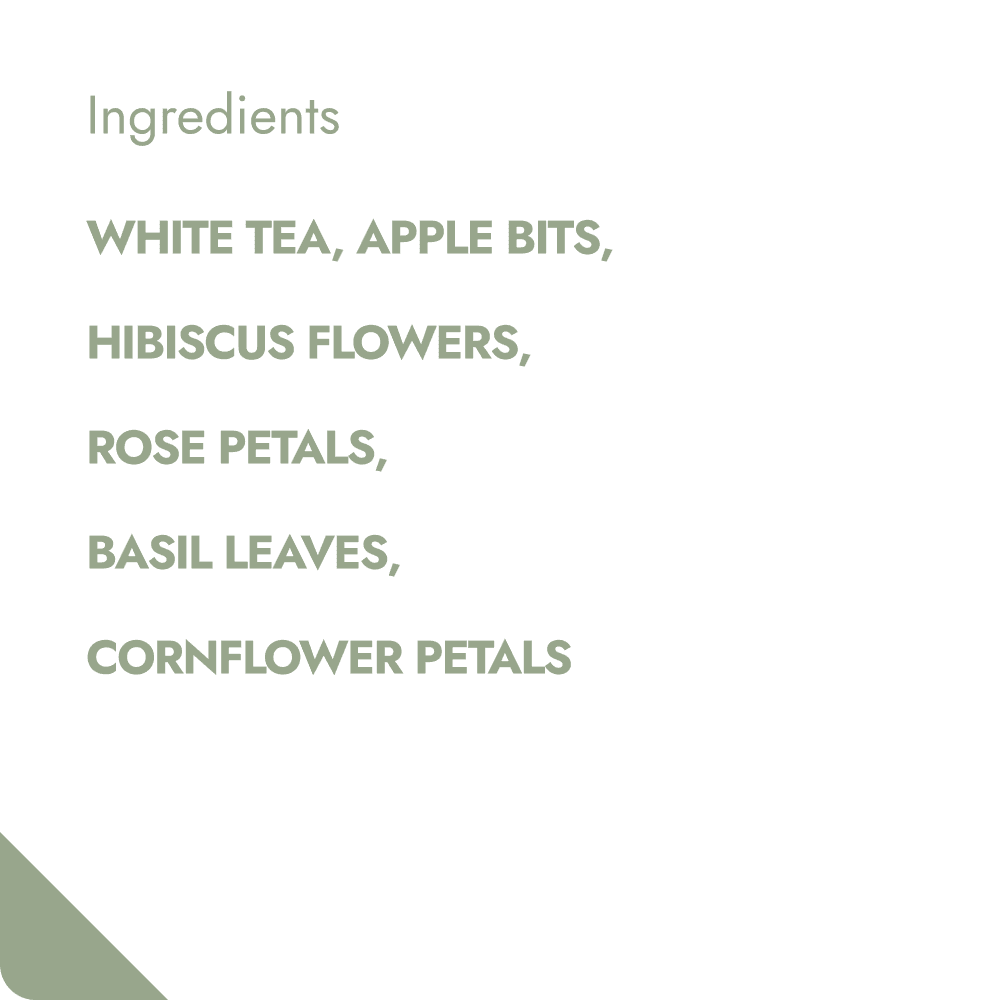 Fruity Figs & Pineapple Teabrewer-1