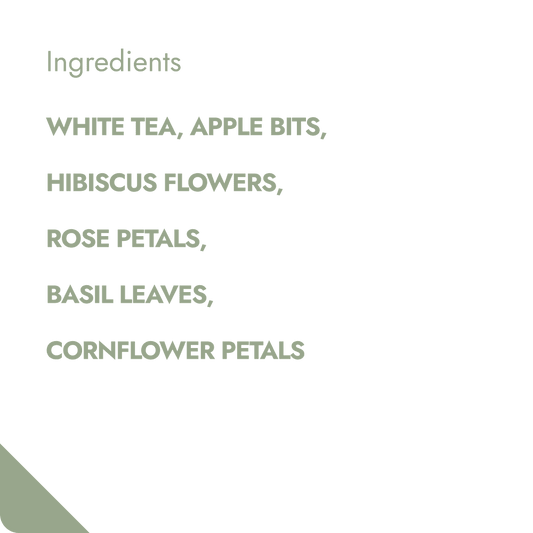 Fruity Figs & Pineapple Teabrewer-1